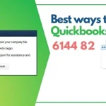 QuickBooks-Error-6144-82