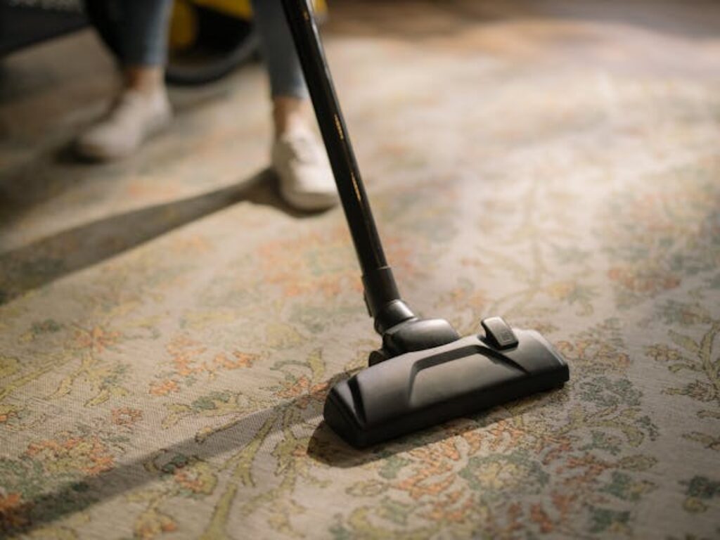 professional carpet cleaning services