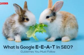 Google E-E-A-T